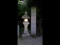 【心霊スポット】高野山 奥之院【和歌山県】