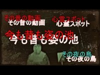 心霊スポット　姿の池 その夜の鳥　１４４夜