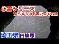 【怖くない心霊検証】埼玉県所沢市白旗塚