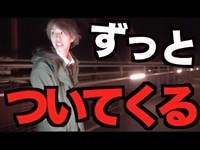 【おかしい】心霊スポット行ったら何かがずっとついてくる。