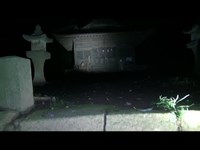 【神隠し伝説】天狗の溜まり場・篠窪三嶋神社は黄泉の森の入り口だ