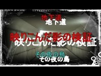 地下道の怪 その夜の鳥　１８６夜