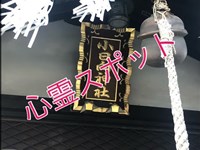 心霊スポット[江戸川橋小日向神社]に行ってきました。