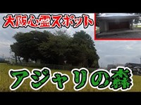 【心霊スポット】アジャリの森に行ってみたら世界観がヤバかった