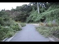 緑山峠２【路地裏：心霊スポット動画】