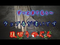 北条高時の腹切りやぐら（15:30から） ラップ現象が凄かったです