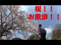 桜咲く♪お花見散歩に行ってきた！