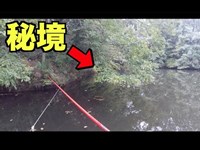 誰も入れなかった池の奥地に投げ入れてみた結果！近所の池で魚釣り！