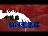 心霊スポットの鵜原理想郷へ行ったらマジで手が写り込んだ！！