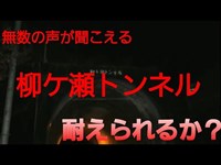 #017 心霊スポット企画 第5弾 滋賀県と福井県を繋ぐ 『柳ケ瀬トンネル』