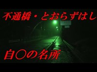 【心霊スポット】不通橋（とおらずはし）街灯があるのに不気味過ぎ・・・