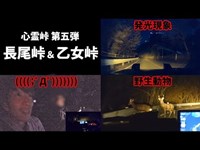 【心霊峠】長尾峠・乙女峠・箱根大平台 ～発光現象から神の遣いまでやってきた！～