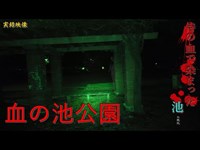 【心霊】愛知県：血の池公園【再編集版】-Japanese haunted places-