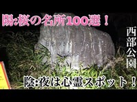 【徳島】心霊スポット「西部公園」日本兵の行進する音が聞こえるらしいが...