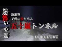 【心霊 新潟県最恐心霊スポット】超怖い心霊 Ghost Live Distribution 五十嵐トンネル