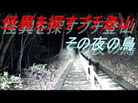 【怖い場所】庚申山　その夜の鳥　２５夜【藤岡】