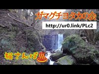 【心霊スポット】不動尻廃キャンプ場_190120