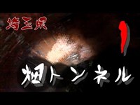 【夜の隧道探訪】畑トンネル①【心霊現象を追い求める男】