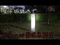 【閲覧注意】これがやらせじゃないんよ…