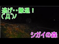 【心霊スポット】シガイの森後半！ここは危険すぎる(ﾟДﾟ)【滋賀県】