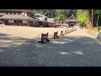 滋賀　田村神社　心霊スポット　S11