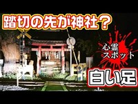 【心霊スポット】白い足だけの幽霊が出ると噂される踏切の先には神社が！【宮道踏切】