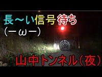 【心霊スポット】終わらないトンネル(；ﾟωﾟ)体力ゼロで見たものは・・