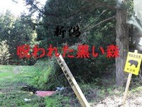 心霊マニア 黒い森（新潟）