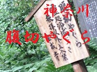 心霊マニア 腹切やぐら（神奈川）