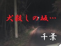 心霊マニア 犬殺しの坂（千葉）