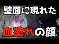 【怖くない心霊検証】埼玉県入間郡三芳町上富トンネル　血塗れの顔の正体を解明！