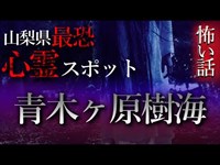 【怖い話】心霊スポット特集#1 山梨県・青木ヶ原樹海　広大な樹海での恐怖の体験談