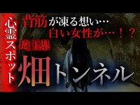 【怖い話】心霊スポット特集＃18　埼玉県「畑トンネル」埼玉最恐と言われる心霊トンネル…果たしてその恐ろしさは！？