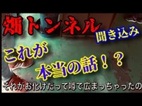 再編集【畑トンネル】地元の方にインタビュー〜心霊スポットの真相は？廃墟〜廃トンネル？心霊スポット？心霊現象とは？〜