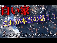 【白い家】この話が全て！聞き込み調査〜群馬県最恐心霊スポット&お化け坂〜廃墟だらけの土地