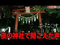 昼はパワースポット夜は心霊スポットの神社に女子一人で行ったらヤバイ声が入ってました【オカルト部】