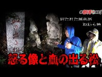 落城した城跡にあった松の木には城兵の血が染みていたそう…異質な像に囲まれた夜の神社