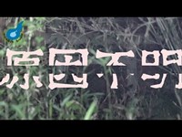 【心霊】名前のないトンネル、謎の鳥居。大洗にある心霊スポットで聞こえる物音