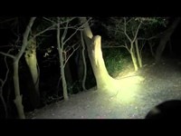 心霊マニアの旅 2013 GHOST RESEARCH 神奈川県 源氏山公園②