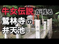 【心霊スポット】 牛女伝説が残る 鷲林寺の弁天池を訪れる【兵庫県西宮市】