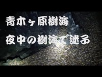 樹海でガチ遭難！！！【心霊スポット】夜中1時に一人青木ヶ原樹海で迷子　謎の洞窟と謎の廃墟群発見