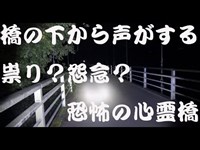 夜中に一人で【心霊スポット】名手橋　橋の下から悲鳴が！？