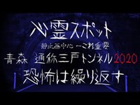 【心霊スポット】静止画中心 青森通称三戸トンネル2020～恐怖は繰り返す