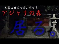 【心霊】アジャリの森・大阪有名心霊スポット【Japanese horror】