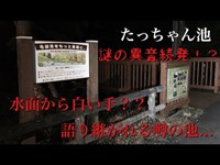 東京都 たっちゃん池（宅部池） 心霊