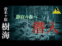 【心霊】日本屈指の心霊スポット！静寂の森が広がる青木ヶ原樹海【青木ヶ原樹海】