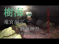 心霊探求　樹海　竜宮洞穴（剗海神社、せのうみ神社）