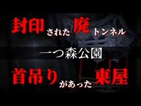 唸り声が聞こえるトンネル。自殺者の霊が現れる公園にて噂を検証【心霊】