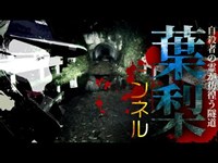 【心霊】暗闇の心霊隧道に棲む複数の悪霊「葉梨トンネル(宮ヶ澤隧道)」詳細は概要欄から