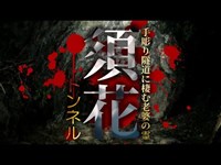 【心霊】手掘り隧道に棲む老婆の霊「須花トンネル」詳細は概要欄から